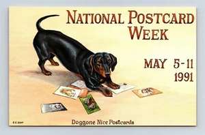 AK Dackel Hund Katze Postkarten 1991 Landespostkarte Woche a/s Kemp AL1 - Bild 1 von 2