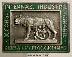 ROMA IX° CONGRESSO INTERNAZIONALE INDUSTRIE AGRARIE DISTINTIVO PER PARTECIPANTI - Picture 1 of 6