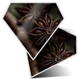 2 x Diamond Stickers 10 cm  - Star Anise Cinnamon Sticks Spices Chef  #24251