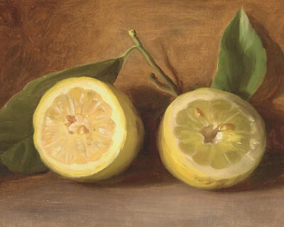 1800 年代柠檬静物绘画复制品 Giclee 美术纸印刷品 — 第 1/3 张图片