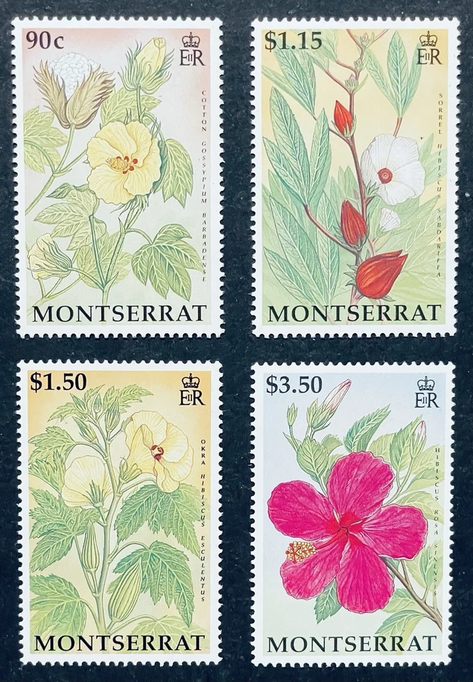 MONTSERRAT HIBISCUS FLOWERS AND FRUIT STAMPS SET 1994 MNH FLOWER FLORA PLANT - Image 1 of 1