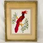 Vintage Handmade Real Feather Red Bird Framed Wall Hanging With Glass 