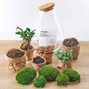 Flaschengarten Set Goccia XL - DIY Terraro Con Rake, Pala E Pinzette - 37 C - Foto 1 di 4