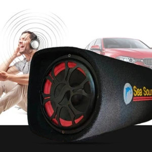Car Audio Speaker 12V 220V Speaker Car Stereo with Amplifier Car Subwoofer - Picture 1 of 12