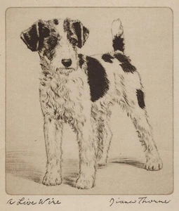 Wire Fox Terrier - CUSTOM MATTED - Vintage Dog Art Print - 1936 Diana Thorne - Picture 1 of 2
