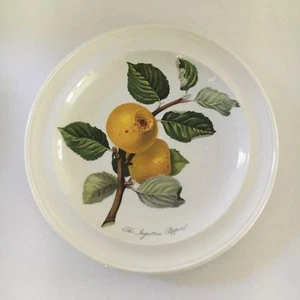 PORTMEIRION POMONA INGESTRIE PIPPIN APPLE 7 3/8" B&B PLATE NEAR MINT BUY IT NOW! - Picture 1 of 4