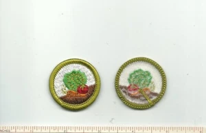 EF SCOUT BSA GARDENING MERIT BADGE TYPE H PLASTIC BACK INSIGNIA PATCH BADGE PB ! - Picture 1 of 1