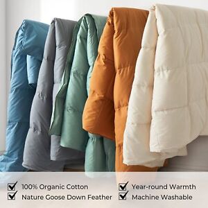 All Season Organic Cotton Comforter Filled With Down And Feather Fiber