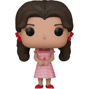 TV - Mary Ann Summers #1332 Gilligan's Island WB 100 Years Funko Pop Slight Dmge - Bild 1 von 9