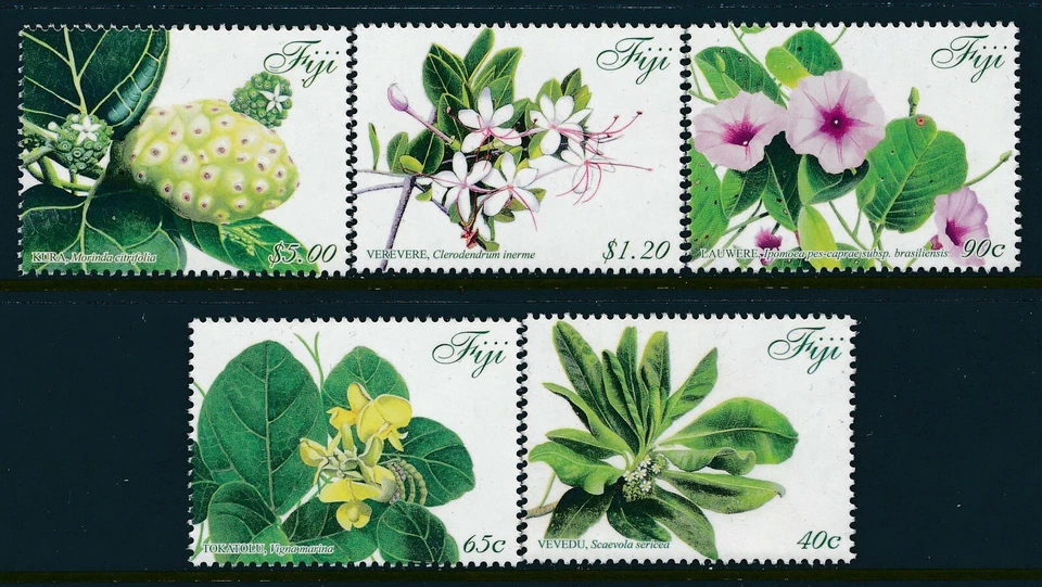 2015 FIJI PLANTAS COM REMÉDIOS CONJUNTO DE 5 FINAS EM PERFEITO ESTADO, SEM MARCA DE CHARNEIRA - Imagem 1 de 1