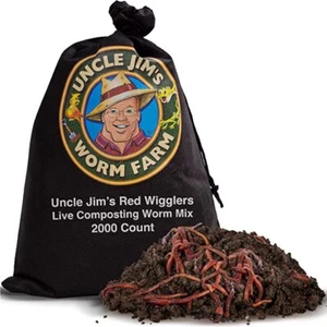 Uncle Jim's Worm Farm 2000 Count Red Wiggler Worms for Compost Bin Worm Factory - Afbeelding 1 van 9