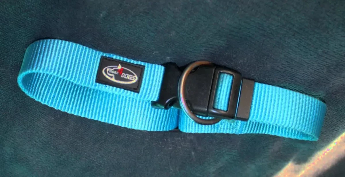 M&D Hundehalsband Aus Echtleder – 6,4 Cm Breit, Handgefertigt, Mit American Bulldog Design, Größen M-XL