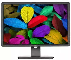 23 inch Dell Professional Wide Screen Monitor 1920x1080 VGA DVI (HDMI, DP: READ) - Picture 1 of 24