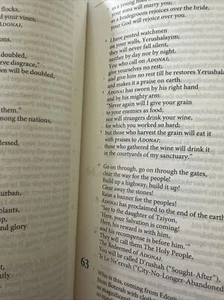 Complete Jewish Bible. By DAVID STERN - Picture 1 of 3