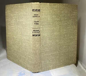 Vintage Heidi wächst auf 1938 Charles Tritten HC Grosset & Dunlap 1. Auflage Heidi Fortsetzung - Bild 1 von 14