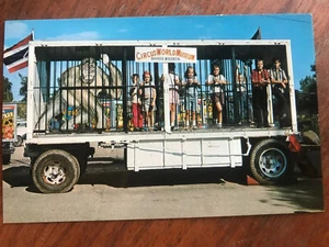 Circus World Museum Cage Wagon – Ringling Brothers Barnum & Bailey Postcard - Picture 1 of 3