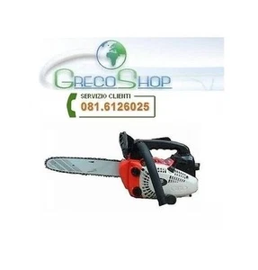 Motosega potatura scoppio 25,4cc 2 tempi lama 25cm + kit montaggio Expò - Foto 1 di 1