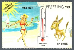 Alte Postkarte, Sonnenbräunen in Florida beim Einfrieren des Arsches im Norden, gebraucht - Bild 1 von 2
