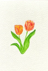 Original Painting Postcard & Envelope Tulip Beata Ulikowska 105x148mm Aquarelle - Picture 1 of 4