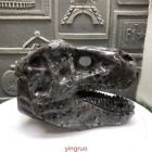 1pcNatural Yooperlite Dinosaur skull Hand carving＆polishing Quartz Crystal 6.6in