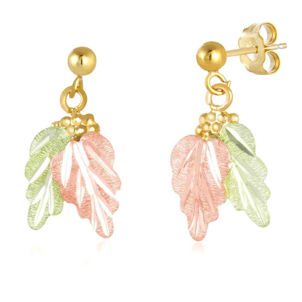 Aretes Landstrom's Black Hills Oro Dos Hojas y Uvas 10k G LER447 Foto 1 de 1