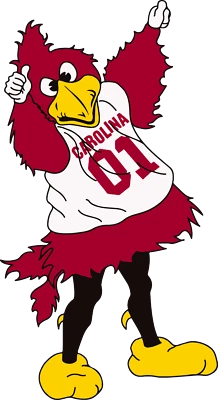 Univ Of South Carolina Vinyl Sticker/Decal -NCAA -College Football - Gamecocks - Image 1 of 3