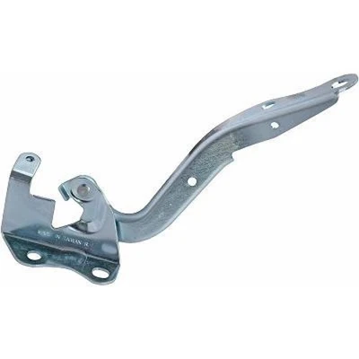 DIEDERICHS Motorhaubenscharnier Haubenscharnier 6619018 Rechts - Bild 1 von 4