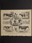 Ohio, Portage County Map, 1874, Thoroughbred Cattle Engravings, J1#55