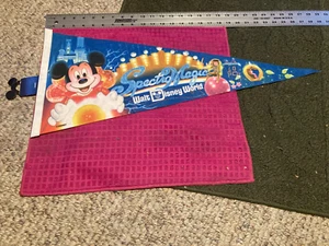 Rare VINTAGE Spectro Magic Parade Pennant Walt Disney World FLORIDA Fast Shipper - Picture 1 of 5