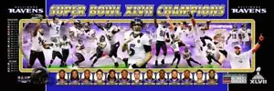 Baltimore Ravens Super Bowl XLVII Photoramic #1004 - Bild 1 von 5