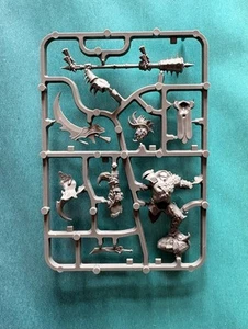 Warhammer Age of Sigmar Hedonites of Slaanesh Lord Of Pain New On Sprue - Picture 1 of 1
