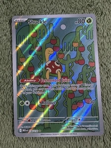 Shuckle (Illustration Rare) 136/132 Pokémon Mega Evolution Base Set - Bild 1 von 3