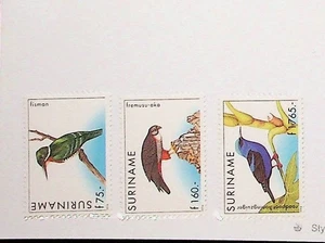 SURINAME Sc 1053-5 NH ISSUE OF 19968 - BIRDS - (DS25) - Picture 1 of 1