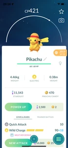 Pokemon Pikachu Straw Hat (2019)! Same Day Shippment or Next Day Guaranteed ! Go - Picture 1 of 1