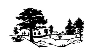 (2) TREELINE #6 DECAL VINYL GRAPHIC TRAILER VAN RV MOTOR HOME CAMPER - Bild 1 von 2