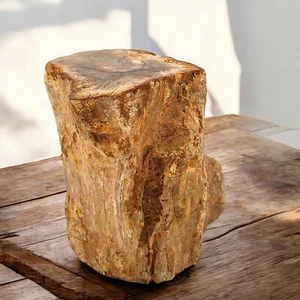 Poliertes versteinertes Holz Madagaskar 383 Gramm Fossil freistehende Displayrinde - Bild 1 von 16