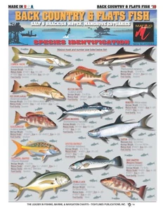 Tabla de identificación de peces de campo y planos #10 - Guía de referencia rápida - Imagen 1 de 2