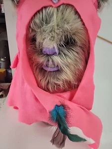 Star Wars Kaneesa The Ewok Furry Mask Custom Made - Bild 1 von 6