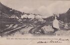 Valle Stura - Alpe Vagon E Bessanese - Da Balme Al Piano Della Mussa  1911