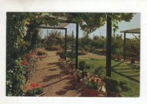 Vintage Post Card - Harlow Nursery - Tucson Arizona - Picture 1 of 2