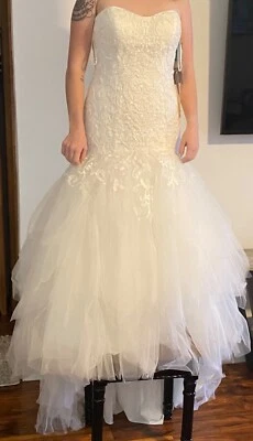 Vestidos de noiva tamanho 10, David’s Bridal, Novo, Marfim, Trem, sem mangas.  - Imagem 1 de 3