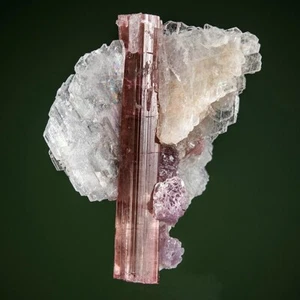 Colección Melanson TN Elbaite con Lepidolita y Albite California 1212-7702 - Imagen 1 de 9