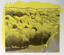 Menashe Kadishman, "SHEEP", POPART AUS ISRAEL, STARKÜNSTLER, 103x76cm, SEHR RAR