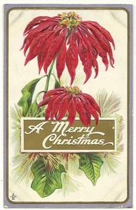 Embossed Poinsettia Holiday Christmas Greeting Postcard - Picture 1 of 1