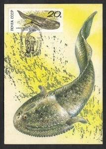 SKV)  1990 USSR, Prehistoric fauna, new Maximum Card, XF - Picture 1 of 1