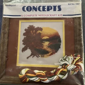Kit punti croce con telaio e tappetino inclusi Concepts punto ago. - Foto 1 di 9