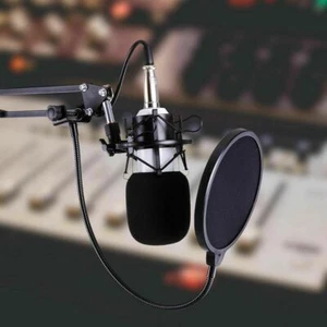 Kit Registrazione Completo Home Studio Mixer Microfono Condensatore per Musica Podcast - Foto 1 di 12