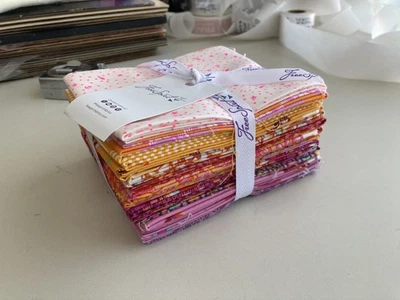Tela acolchada Tula Pink TP Pinkery Fat Quarter, 14 piezas **RARA** Foto 1 de 4