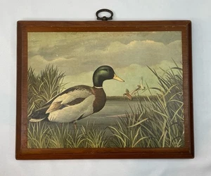 Vintage Decoupage Mallard Duck Print Mounted On Wood Wall Art - Picture 1 of 16