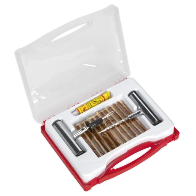 Sealey Temporary Puncture Repair Kit (TST10)